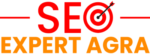 SEO Expert Agra Logo