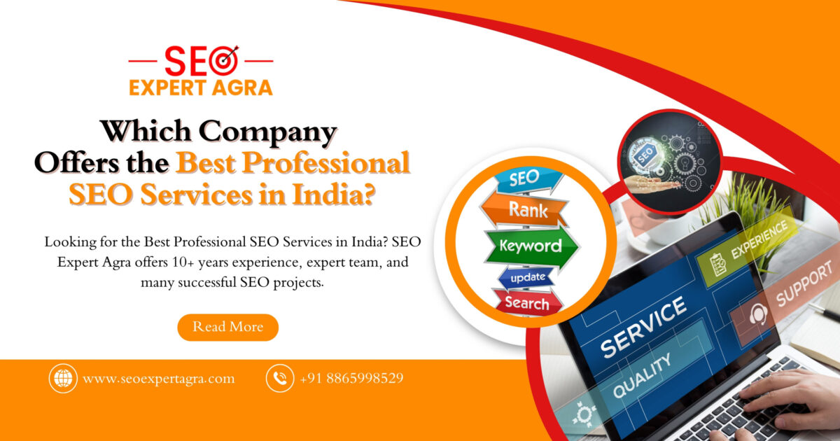 Best Professional SEO Services in India
